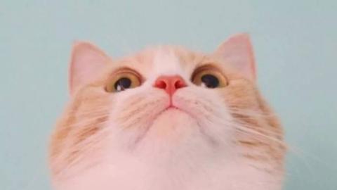 333 